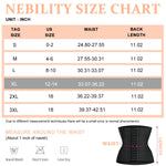 PALAY Waist Trainer for Women with 3 Section Adjustable Buckle 6 Row Fit, XL Black | Tummy Control and Lumbar Support