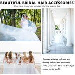 PALAY Bridal Veil for Wedding Bride with 3 m Lace Edge Tulle | White Polyester Accessory