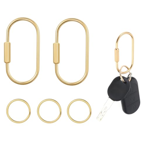 PALAY® Loop Buckles 2.36 inch Screw-Lock Oval Carabiners Connection Lock Golden Copper Twist Lock D-Ring Multipurpose Carabiner Locks for Hanging & Securing,with 4 Keyring