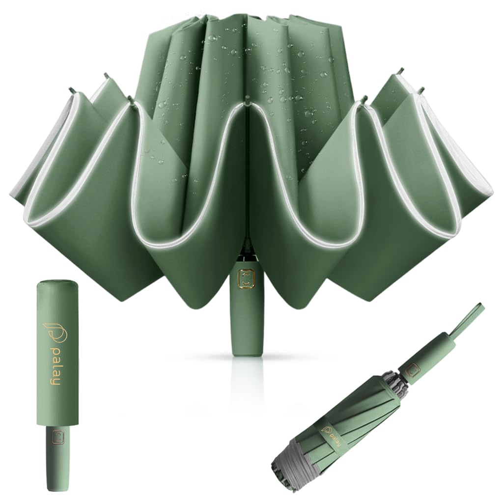 PALAY Auto 3 Fold Large Umbrella for Travel with 50in Canopy and 10 Dual Ribs | Green