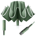 PALAY Auto 3 Fold Large Umbrella for Travel with 50in Canopy and 10 Dual Ribs | Green