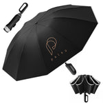 PALAY Umbrella for Travel and Commuting with 50 in Canopy and 10 Dual Ribs | Auto Open Close