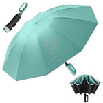 PALAY Umbrella for Travel and Daily Use with 50 in Canopy and 20 Rib Windproof Frame | Automatic Open Close and Reflective Strap